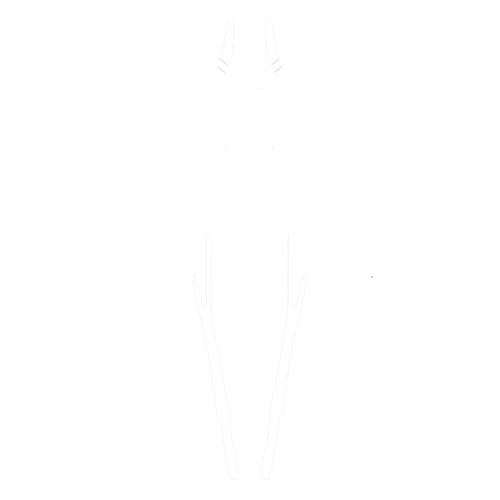 Estro Concept
